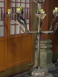 第15集 - 穿成太子家的小作精