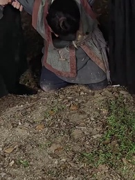 第4集 - 一品江山