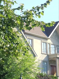 Episode 79 - Evolved Warrior: Domination