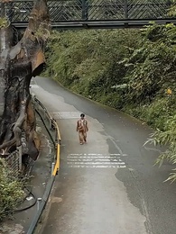 第3集 - 神醫下山，未婚妻閨蜜倒追我