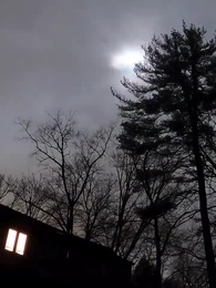 Episode 42 - My Personal Lycan King