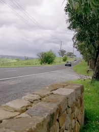 Episode 66 - My Personal Lycan King