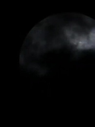 Episode 6 - My Personal Lycan King