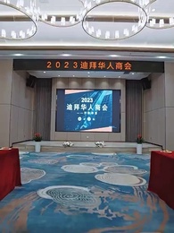 Episode 14 - [Dubbed] The Billionaire's Granddaughter