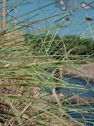 Cinta yang Terkoyak - Episode 6