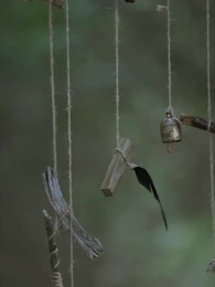 Episode 48 - The Forbidden Alpha