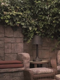 Episode 66 - The Forbidden Alpha