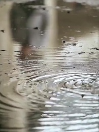 [Dijuluki] Pelarian Cinta Istri Sang CEO - Episode 68