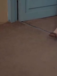 Episode 22 - [Dubbed] Intern Bride of Young Master