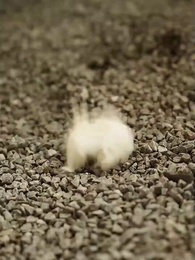 Episode 36 - [Dijuluki] Pembantu Licik