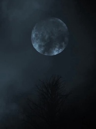 My Personal Lycan King - Episode 1