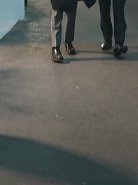 Episode 67 - [Dubbed] Mr. Fu's Lost Rose