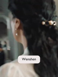 Episode 29 - [Dubbed] Mr. Fu's Lost Rose