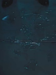 Episode 50 - [Dubbed] Resignation After the Secret Pregnancy