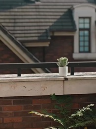 Episode 77 - [Dubbed] Mr. Fu's Lost Rose