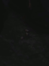 [พากย์ไทย]ภรรยา กลับมาแล้ว 2 - Episode 63