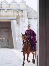 第31集 - 太子他又被人害了