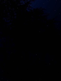 Episode 48 - My Destined Alpha Mate