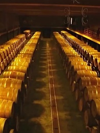 夜先生撿的小可憐美人有太多的心眼 - Episode 46