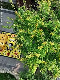 第43集 - 幫老婆成首富,結果跟我說離婚