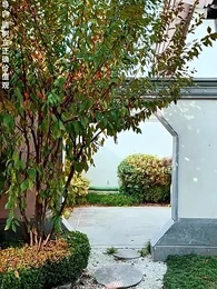 第42集 - 幫老婆成首富,結果跟我說離婚