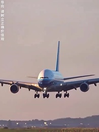 第53集 - 幫老婆成首富,結果跟我說離婚