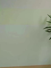 Pertandingan Balas Dendam Wakil Presiden - Episode 76