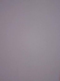 悩ませるコネコちゃん - Episode 63