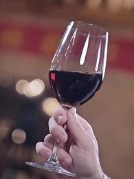 我在寒武紀元當城主 - Episode 88