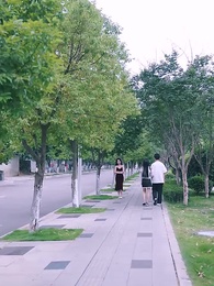 第64話 - 悩ませるコネコちゃん