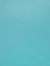 妻の秘密 - Episode 39