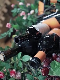 第47集 - 我在寒武紀元當城主