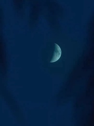 第50話 - [吹替] 私に恋をしたフーさん