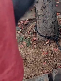 Saya Menjadi Leluhur di Era Republik - Episode 4