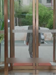 Episode 100 - CEO's Apology: Rebuilding Love After Divorce(Subtitled Version)