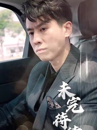 Episode 18 - Mr. Fu's Stand-in Bride(Subtitled Version)