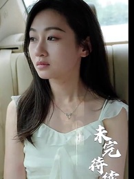 Episode 53 - Mr. Fu's Stand-in Bride(Subtitled Version)