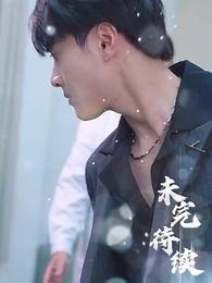 Episode 17 - CEO's Apology: Rebuilding Love After Divorce(Subtitled Version)