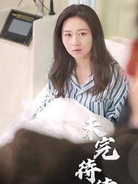 Episode 44 - Mr. Fu's Stand-in Bride(Subtitled Version)