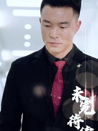 Episode 69 - Mr. Fu's Stand-in Bride(Subtitled Version)