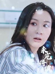 Episode 24 - CEO's Apology: Rebuilding Love After Divorce(Subtitled Version)