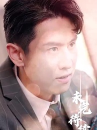 Episode 29 - Mr. Fu's Stand-in Bride(Subtitled Version)