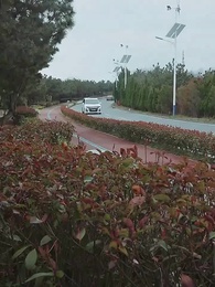 [พากย์ไทย]แผนรักเอาคืนของคุณนายเซิ่ง - Episode 92