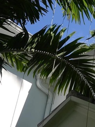 รีบหย่าให้ไว คุณหนูหัวใจพันล้าน - Episode 26