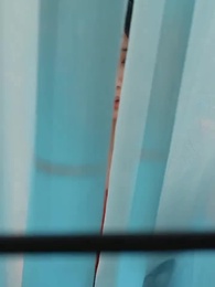 사장님의 장미꽃 - Episode 39