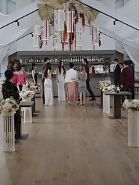 第17集 - 净身出户后我成了全球首富大小姐