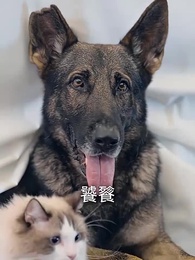 仙二代的日常生活 - Episode 46