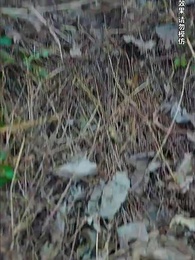 第90集 - 绝世武魂