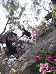 第78集 - 太上武神决