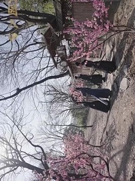 太上武神决 - Episode 74